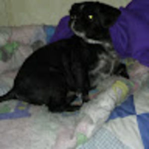 Meet your Posher, Karin